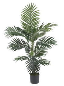 4' Kentia Palm Silk Tree