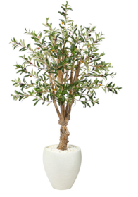 53â€ Olive Artificial Tree in White Planter